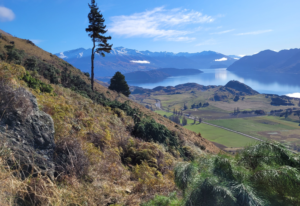 Grants supporting rural sector open for applications 