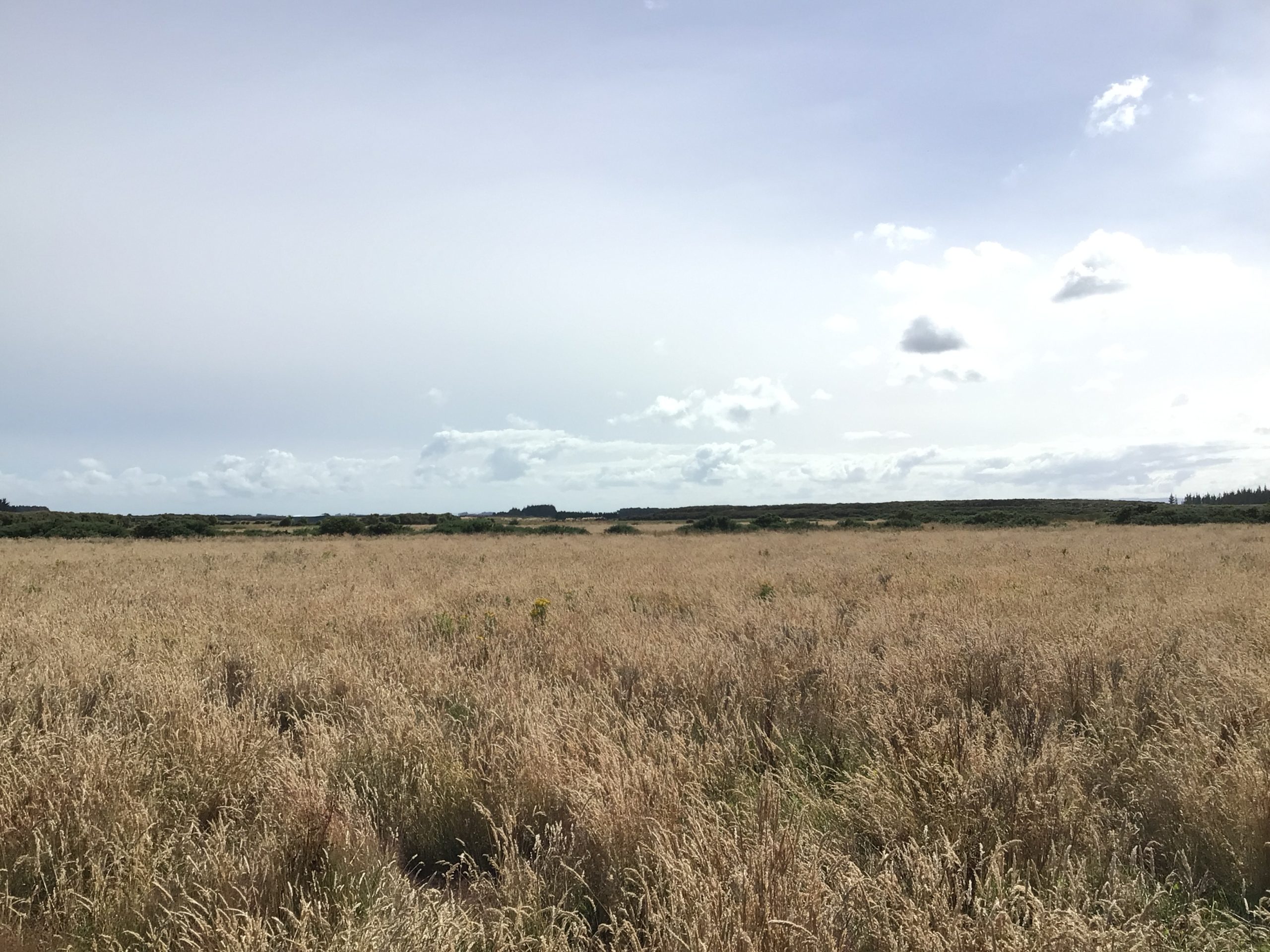 Council selling $650K land block for a dollar