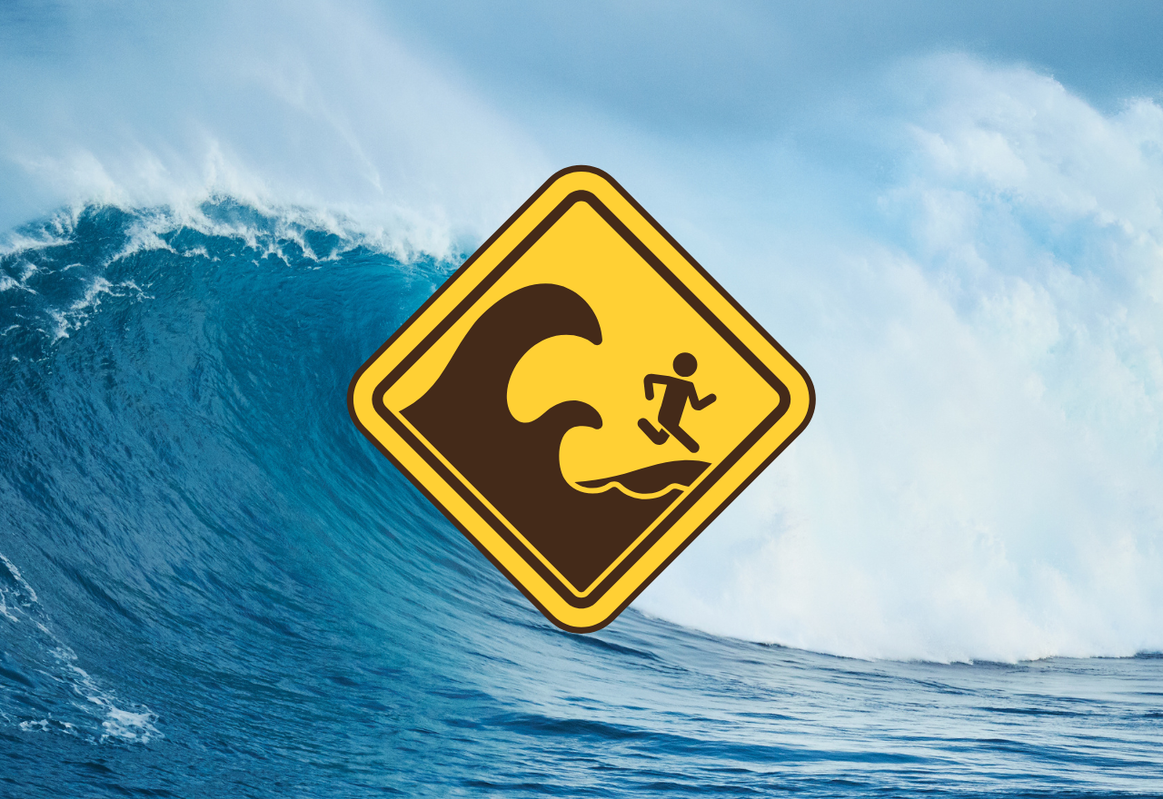 Tsunami activity 🌊🌊
