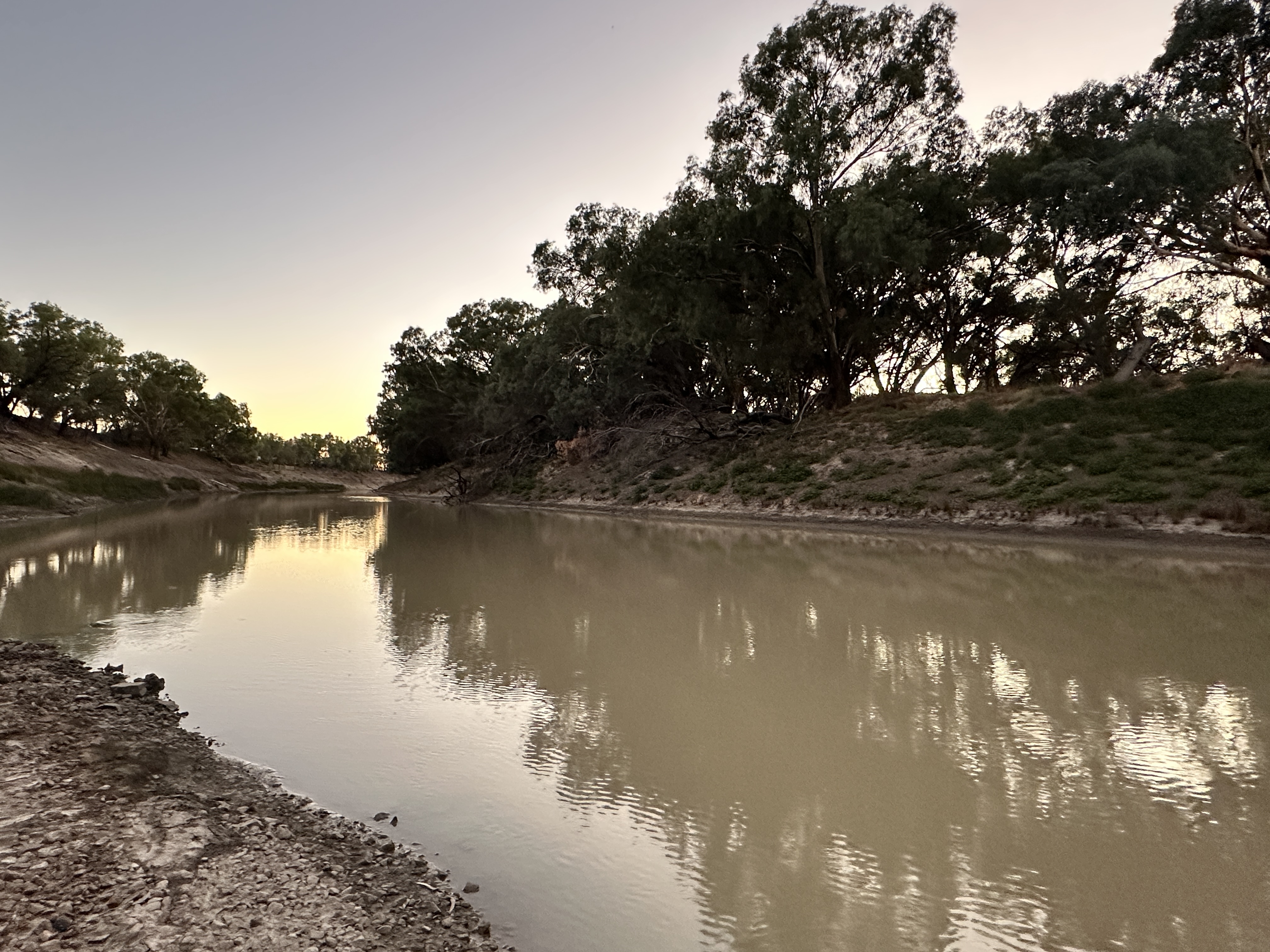 CEWH responds to Roy Butler's calls for ICAC investigations