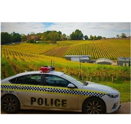 Lambo driver fined