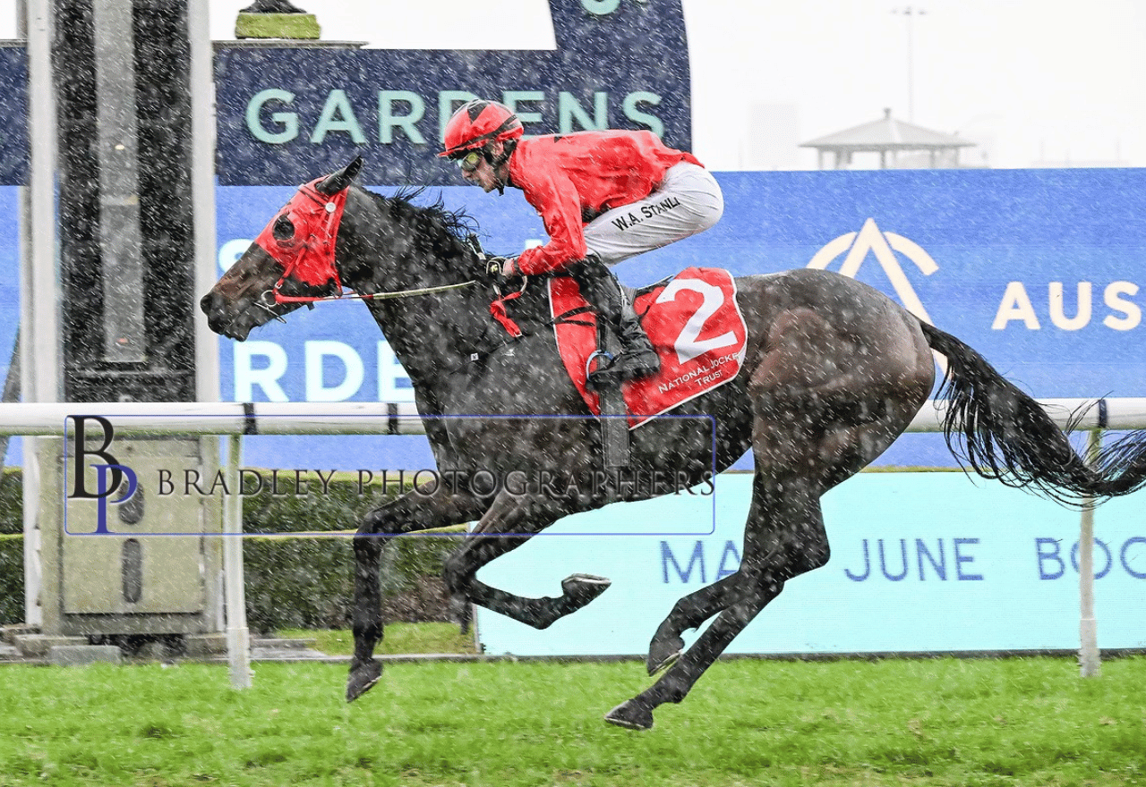 "Wow! Amazing!" local trainer stuns in Sydney race