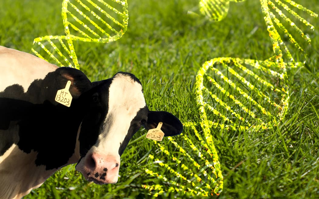 Changes upcoming for genetically-modified food