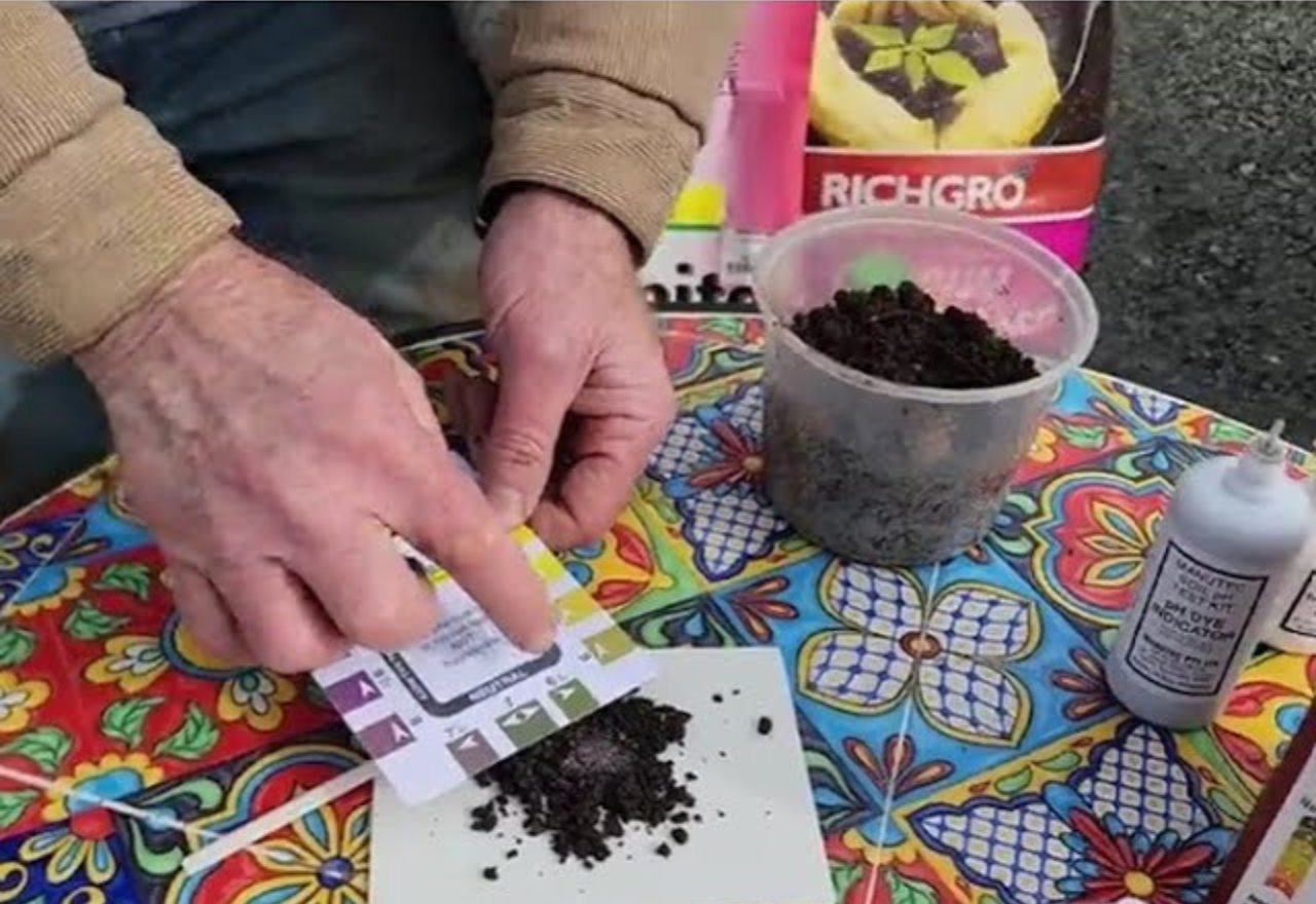 Digging into the secrets of soil pH
