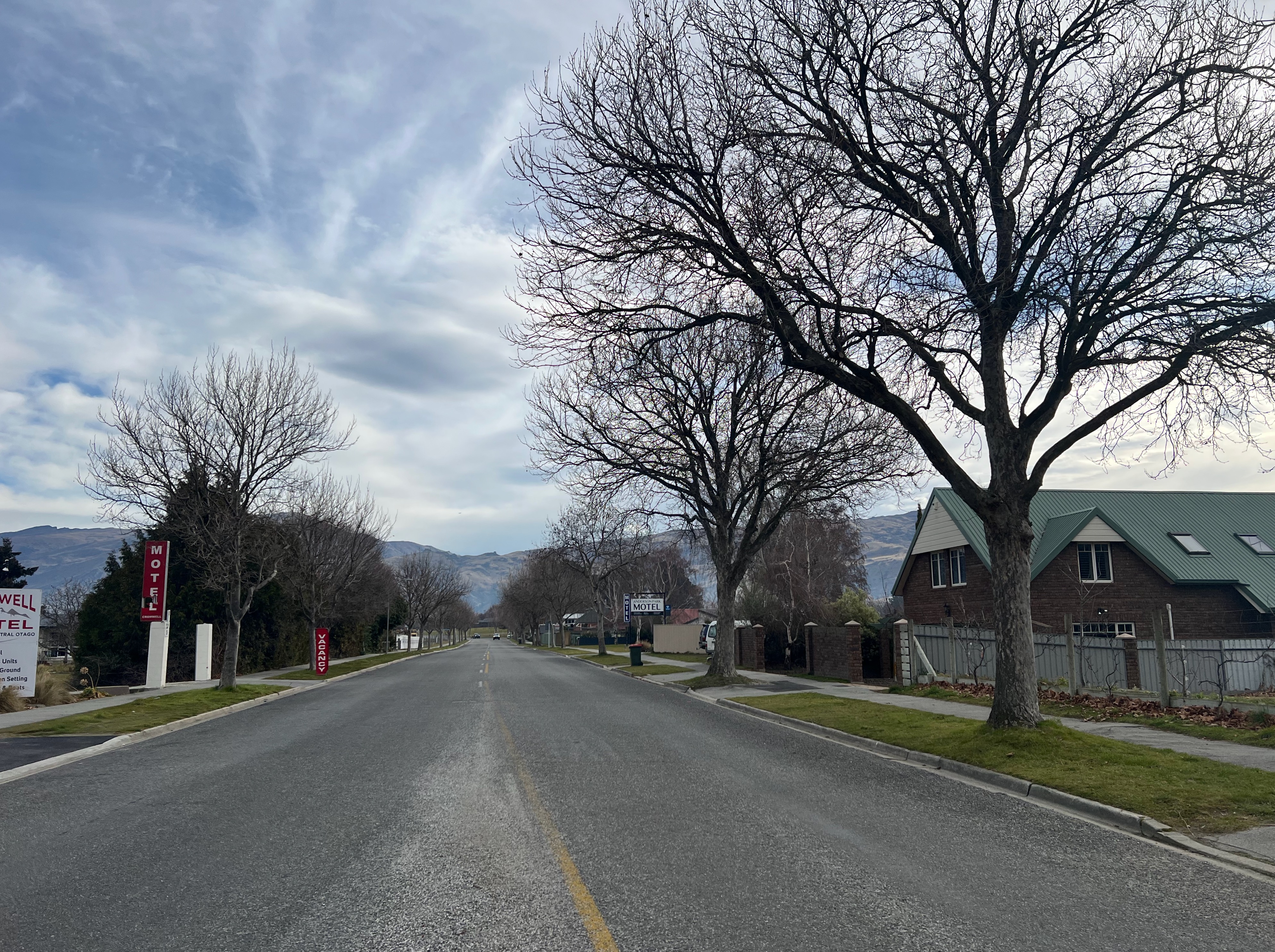 Cromwell trees facing axe as roots cause damage