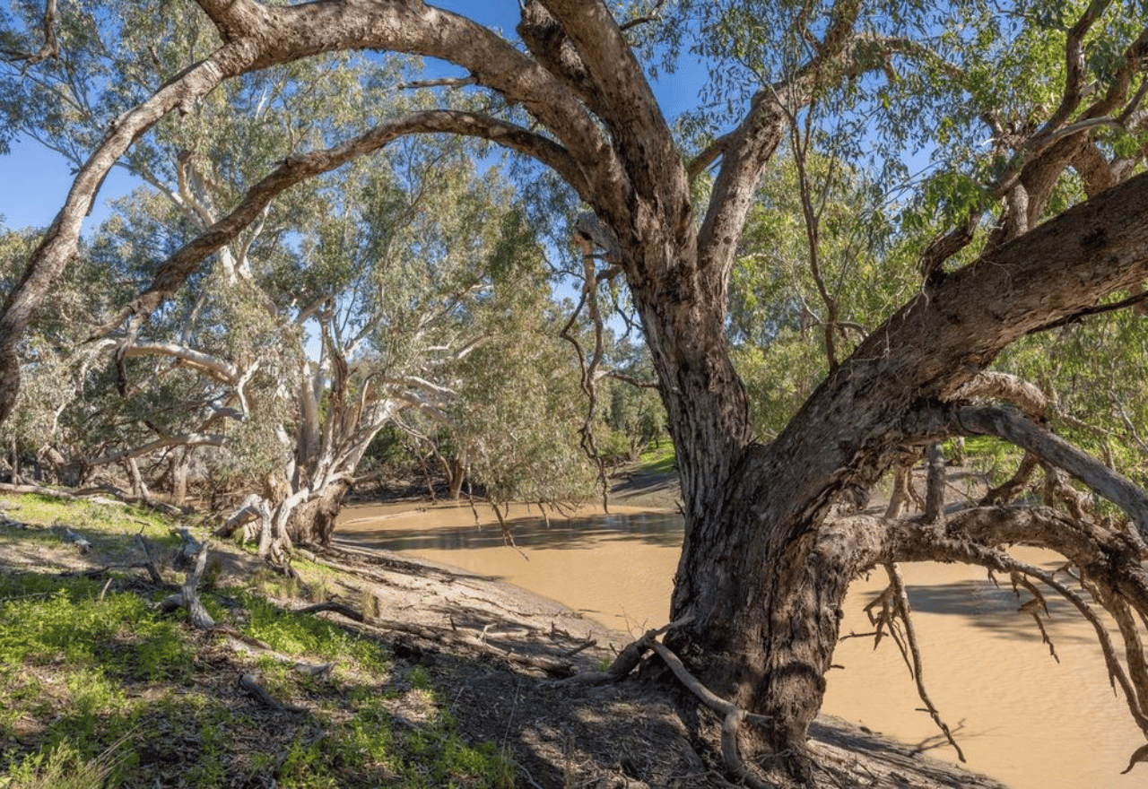 Where will it end with western national parks?