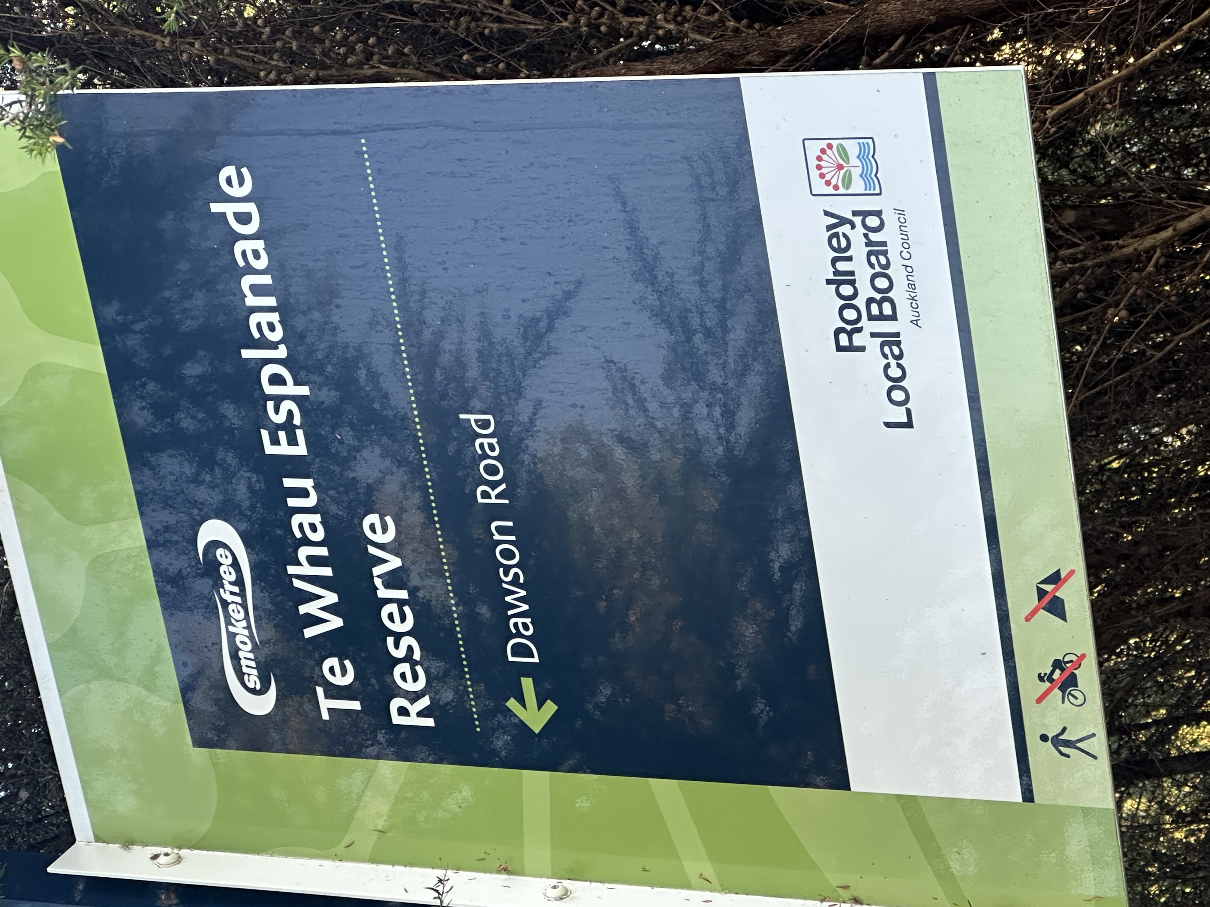 Te Whau Esplanade Researve