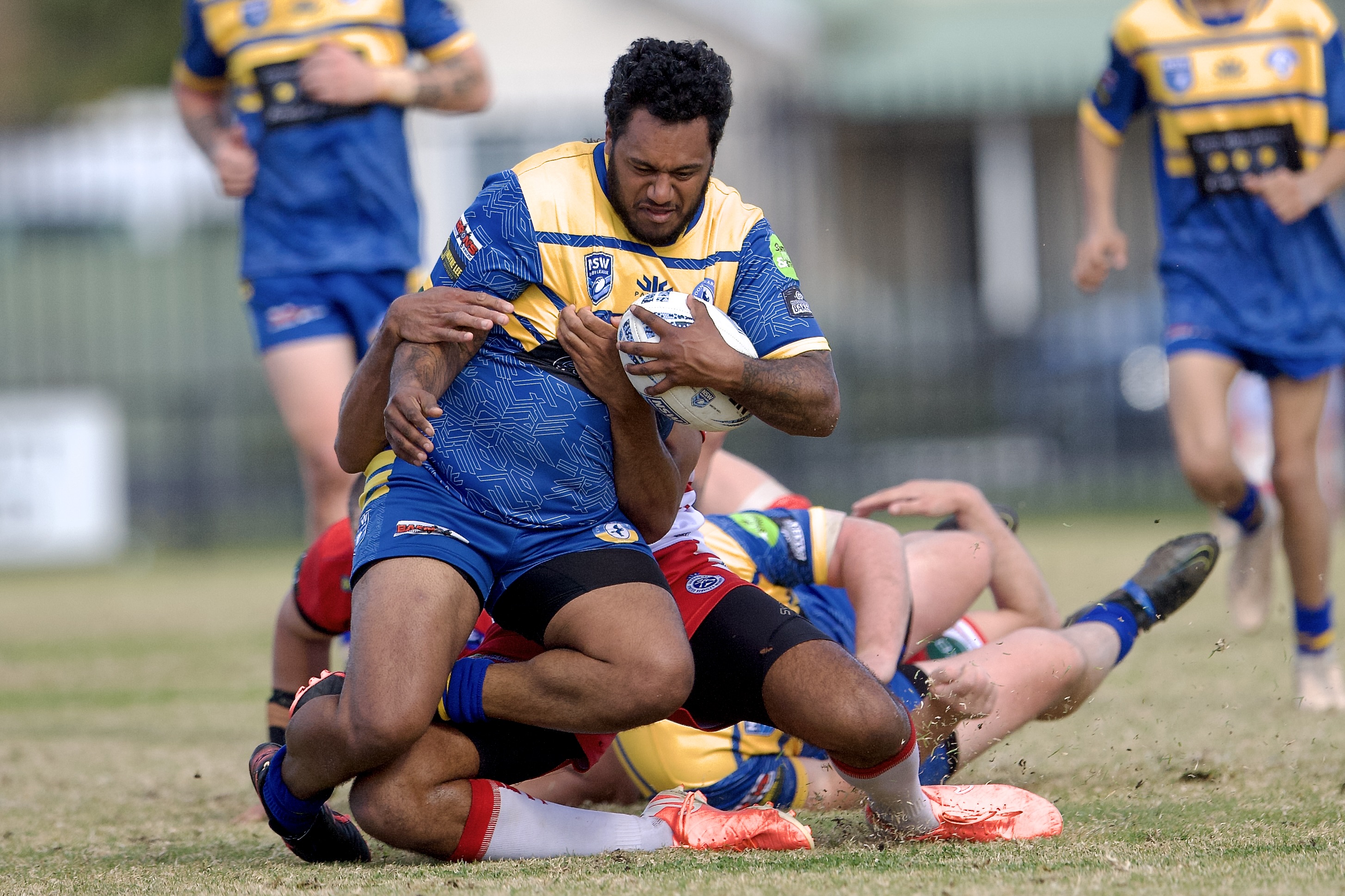 Unicorns and Bull Terriers head to sudden death! Castlereagh League Finals Week 1