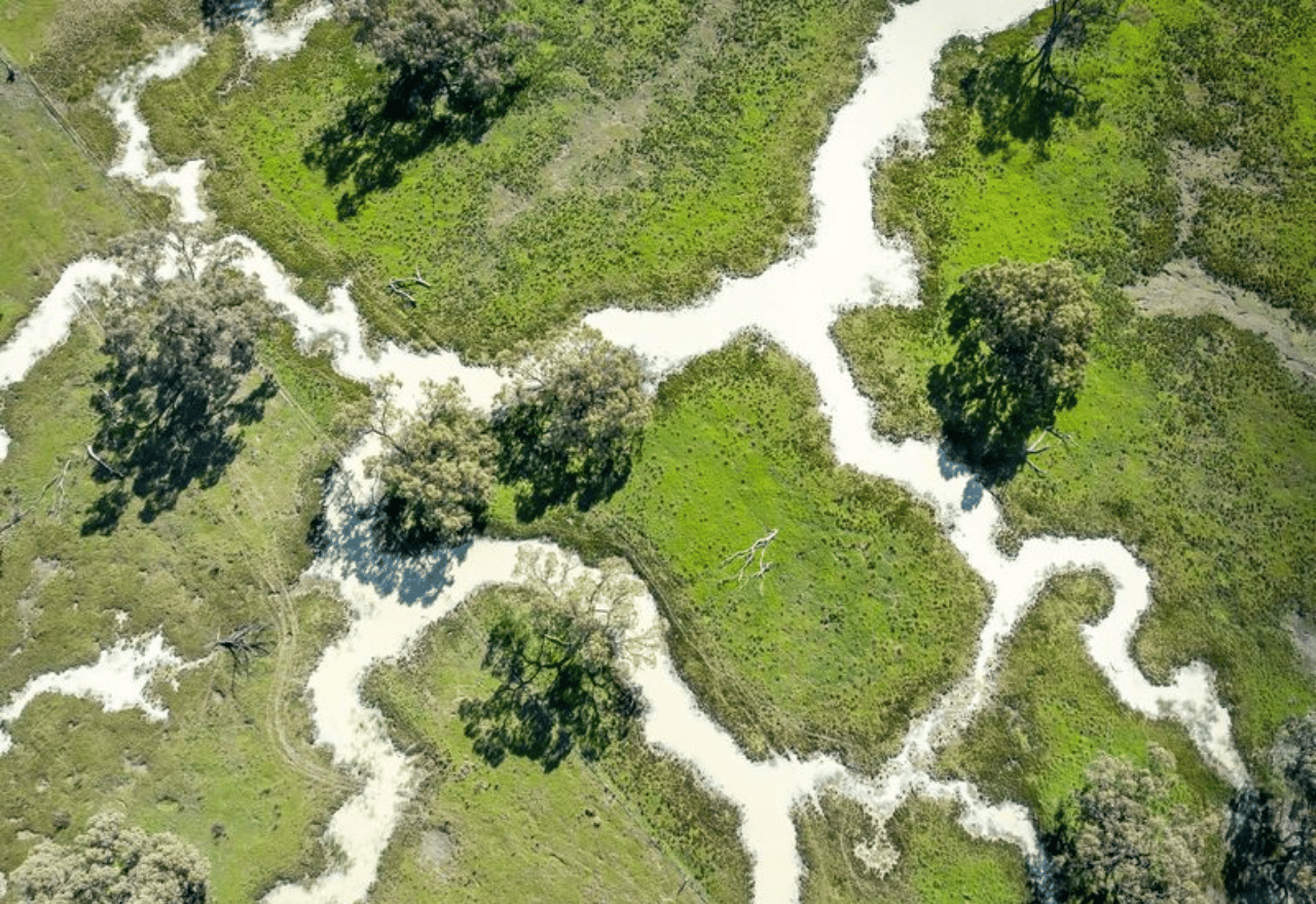 Barwon MP says buying up agricultural land for new national parks is out of control