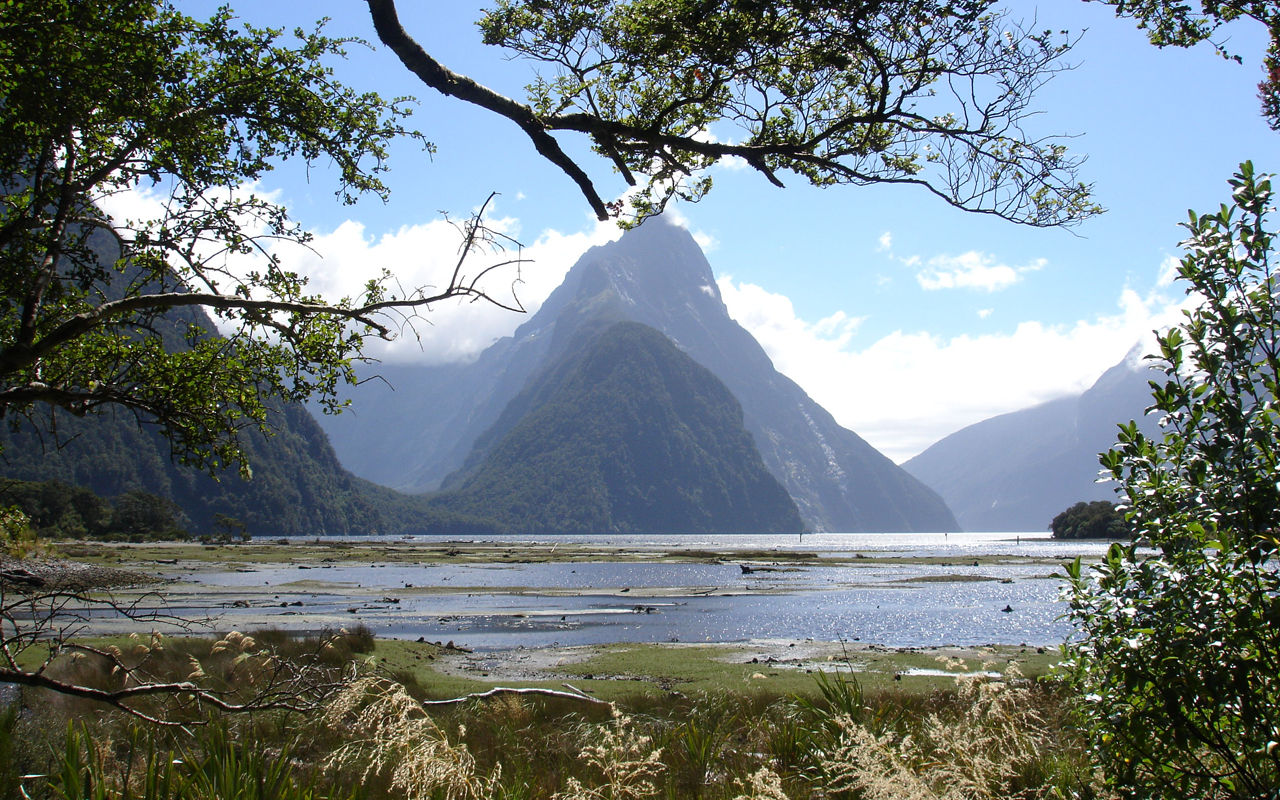 Appointments to enhance Fiordland marine protection