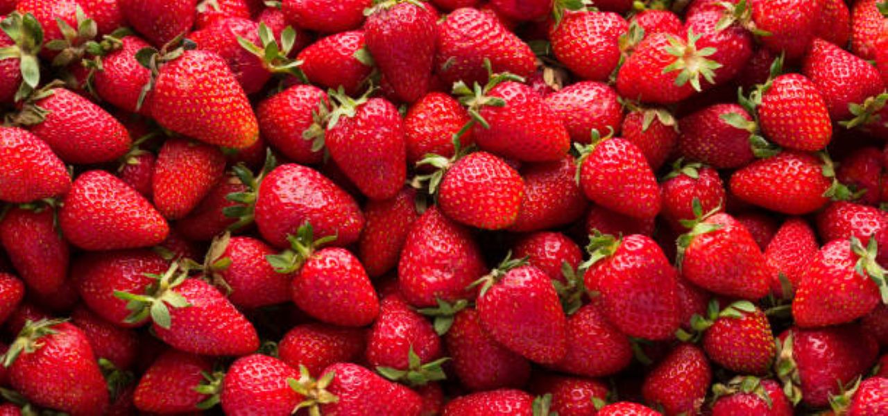 Important Update for Matakana Coast Growers – New Seasonal Visa Pathways