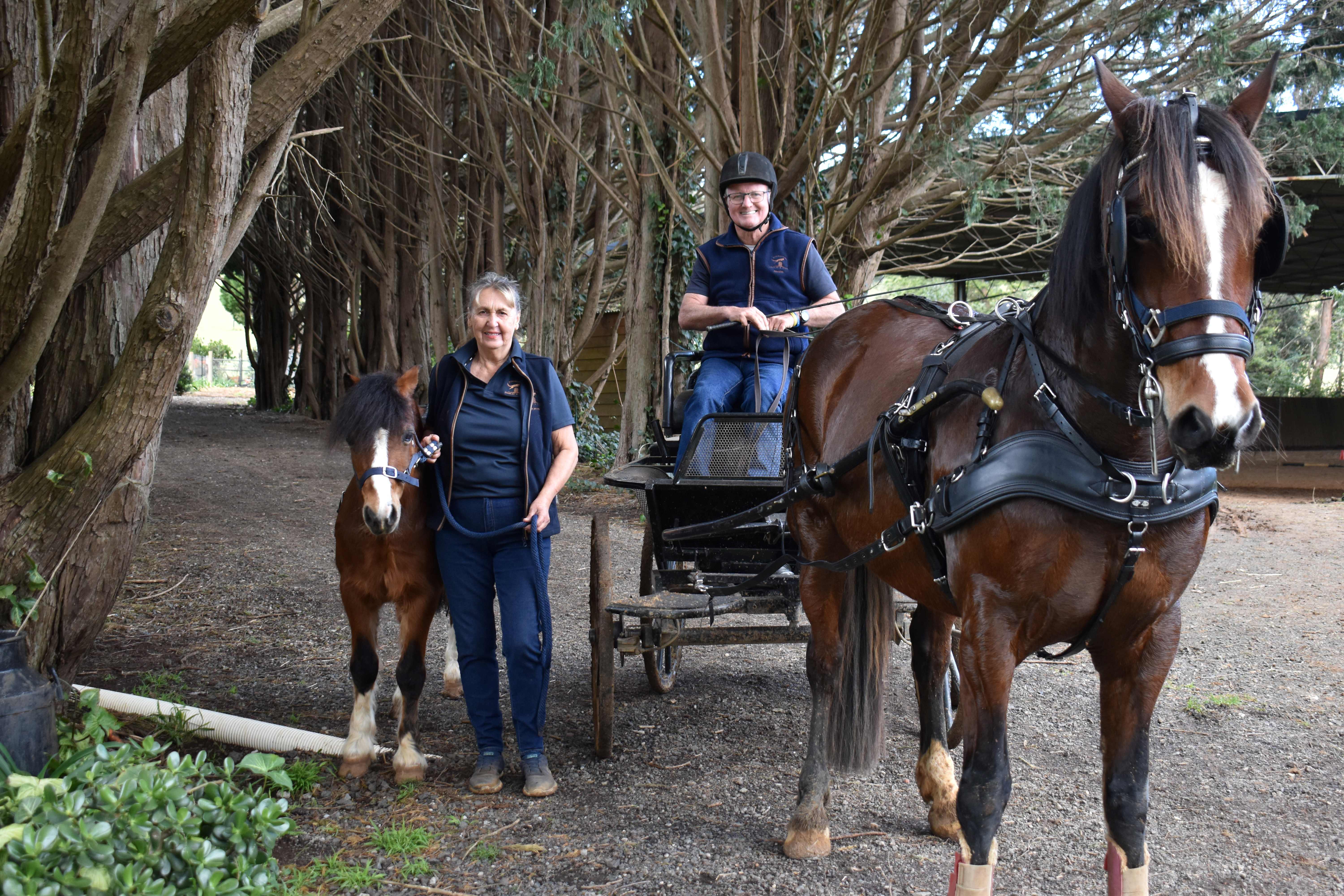 Call for drivers to slow down around horses sparks vandalism 