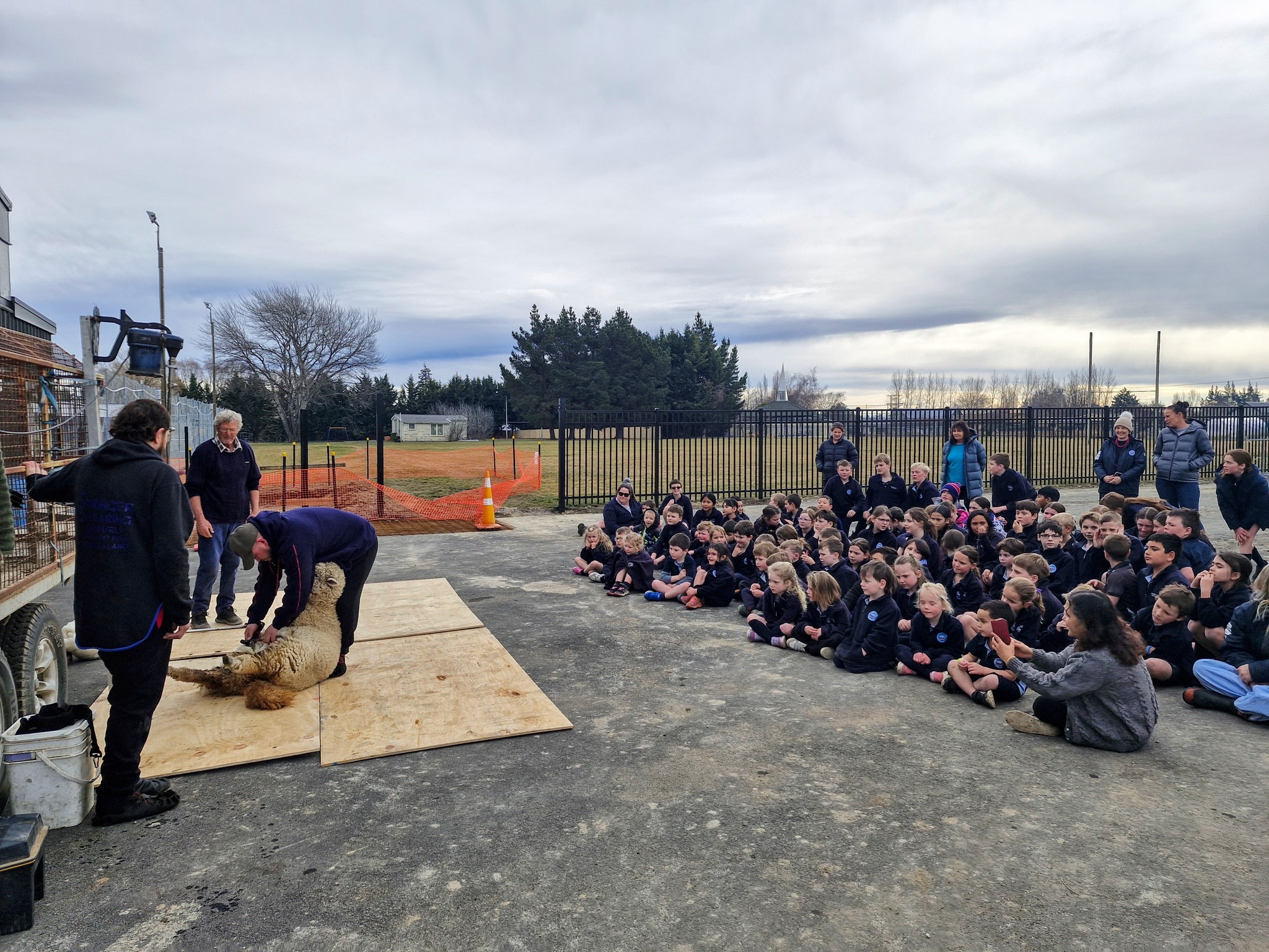 Baa-ber brings real world learning to Maniototo kids