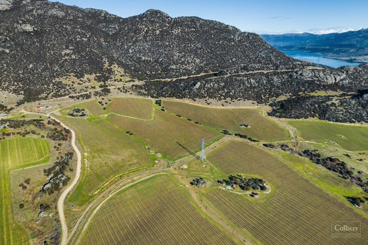 Bendigo Station farm land for sale, no comment from Santana