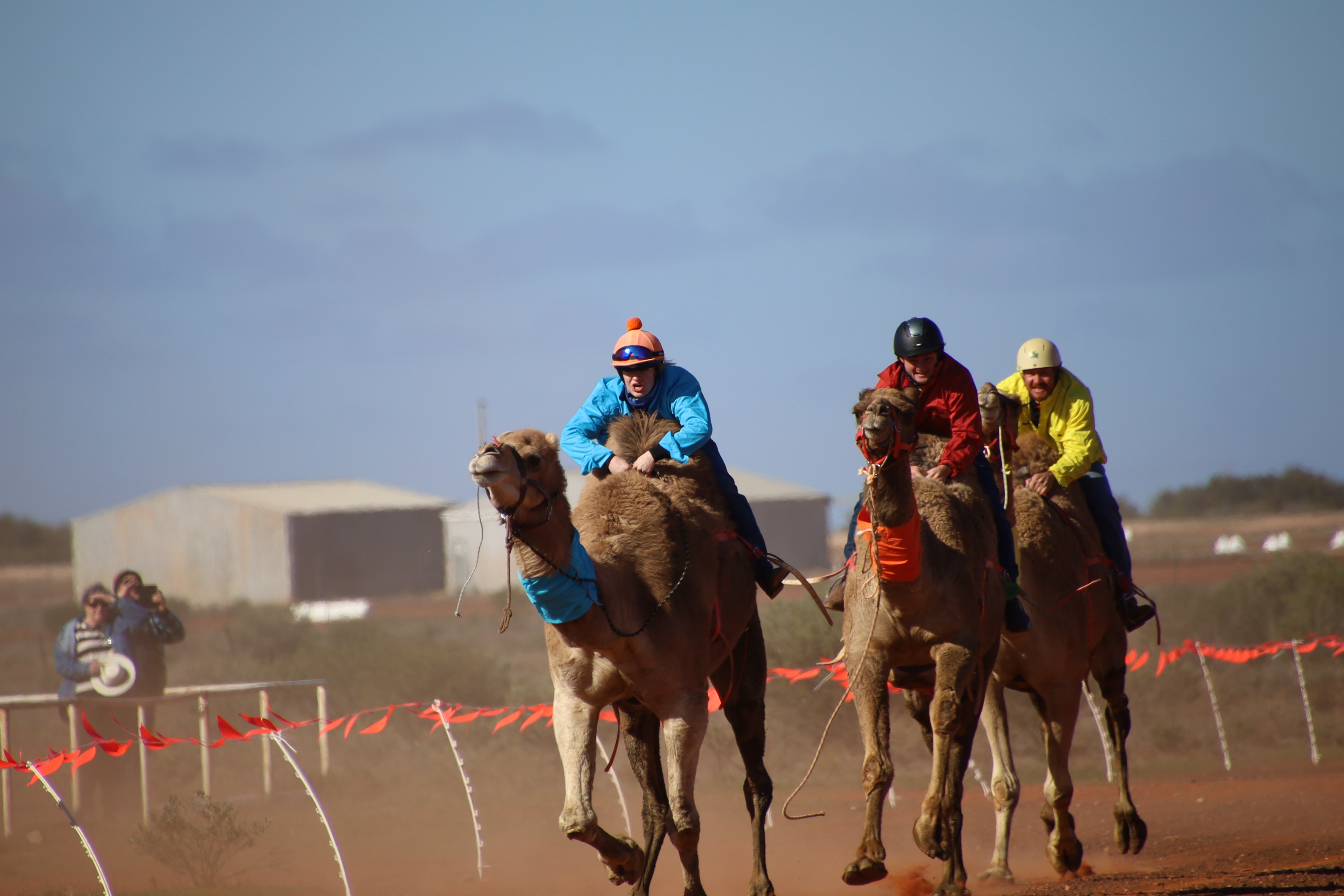 Camel races, a starlit sky, and a yabby artwork: Our trip to White Cliffs