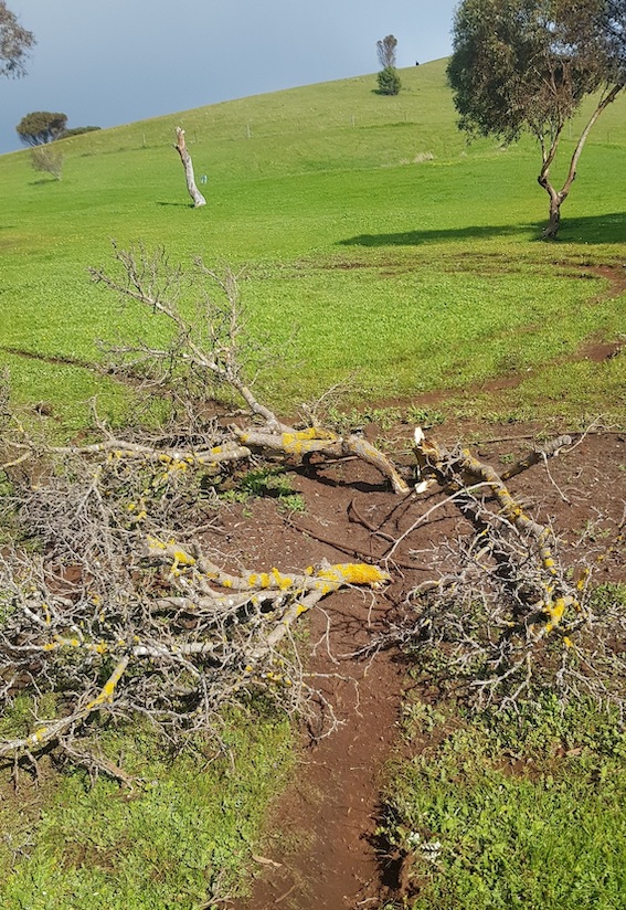 Blatant vandalism at KI historic site