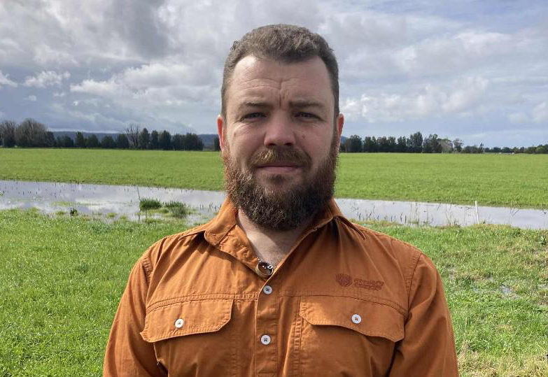 Three more candidates enter race for Kiama by-election