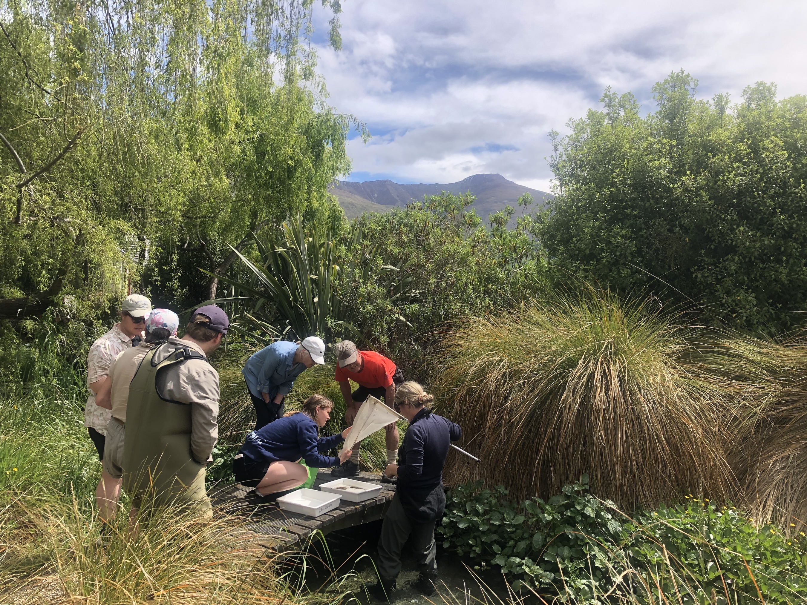 New partnership provides boost to WAI Wānaka 