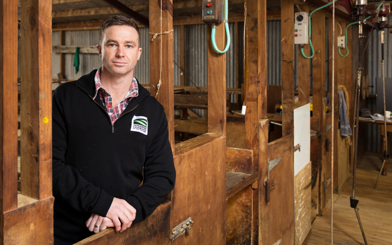 Farmers Urged to Back Strong Wool Revival