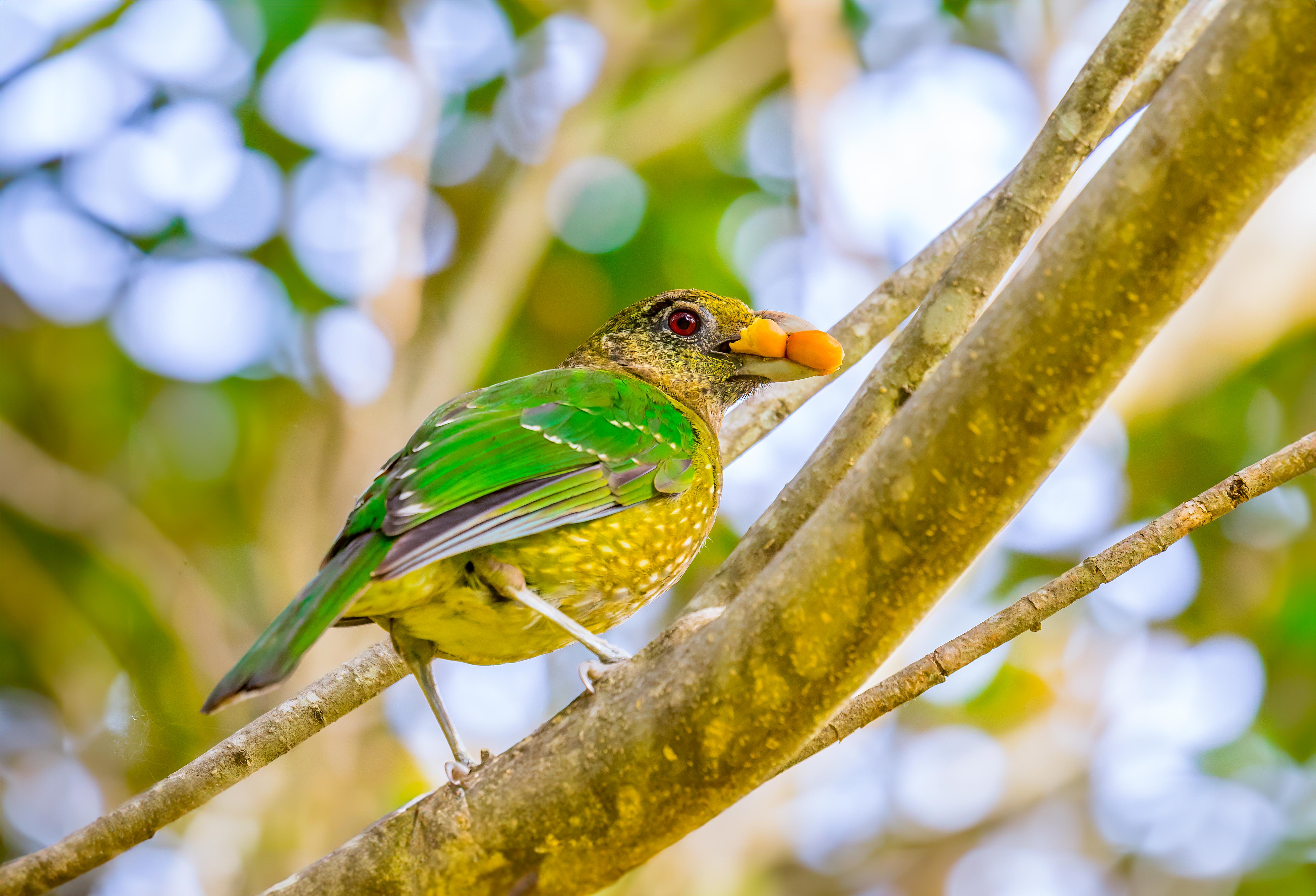 Finding focus: Louise zooms in on the joy of bird photography