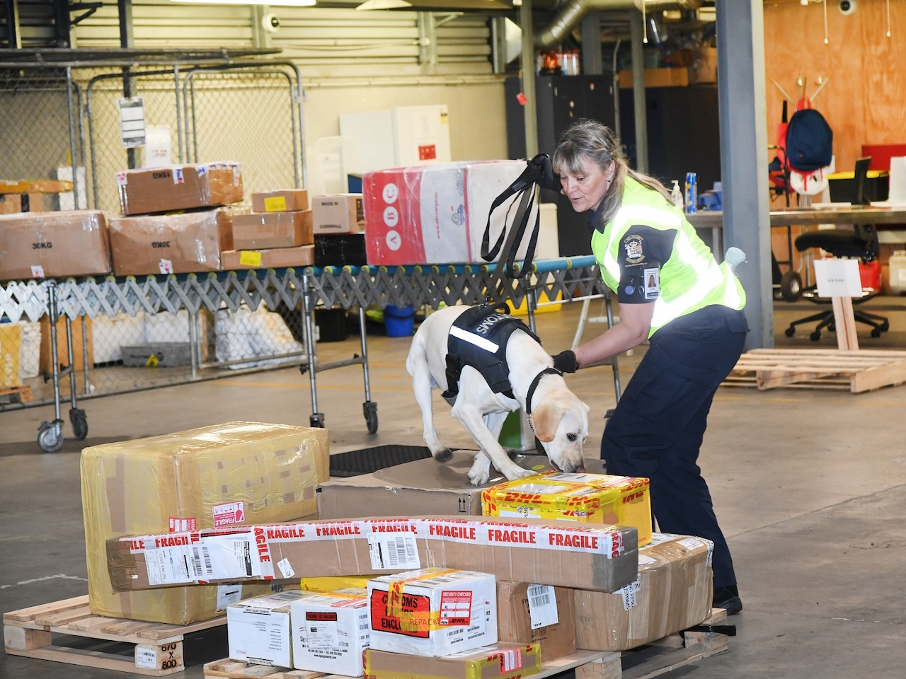 Detector Dogs Marked on International Day