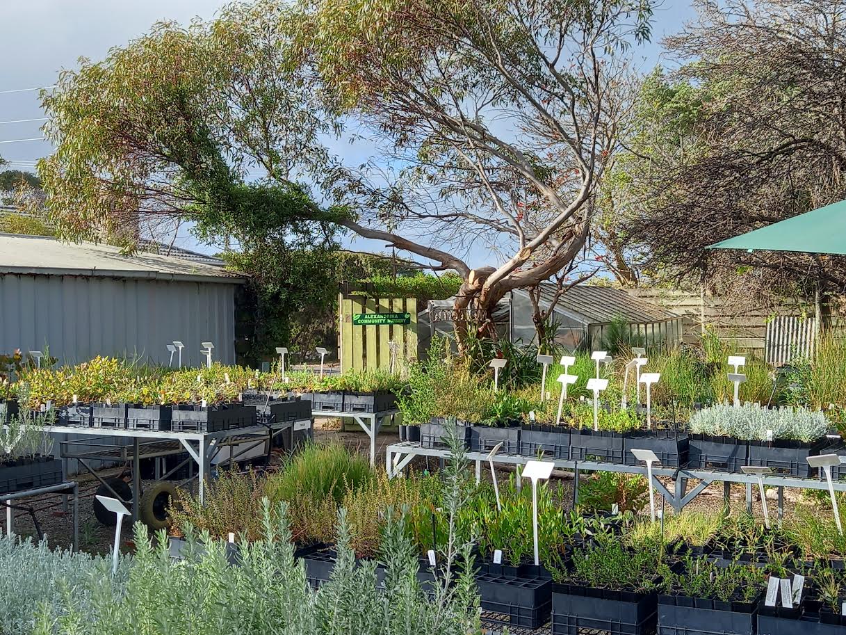 Spring into gardening with your local community nursery 