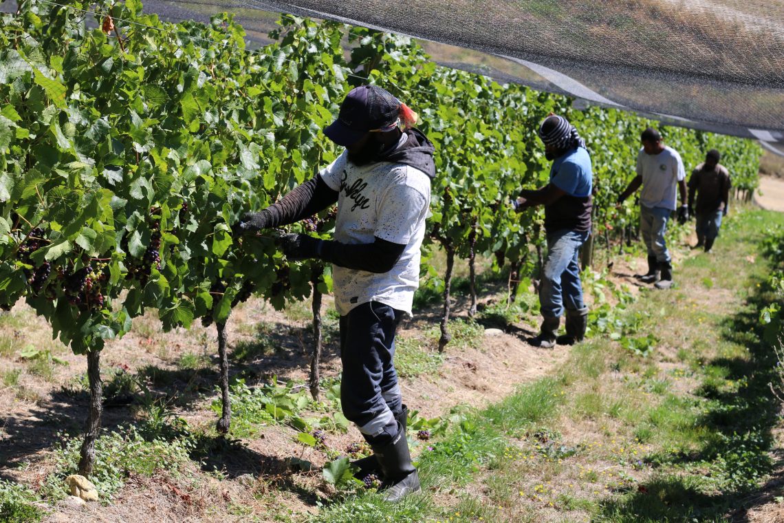 Orchardists committed to improving RSE accommodation