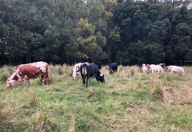 Grants available for local landowners and producers