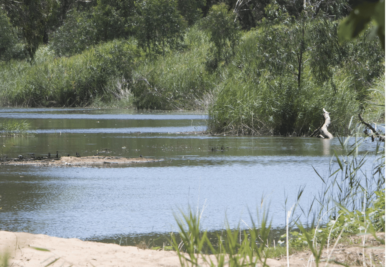 Rail trail will open access to Castlereagh in Coonabarabran