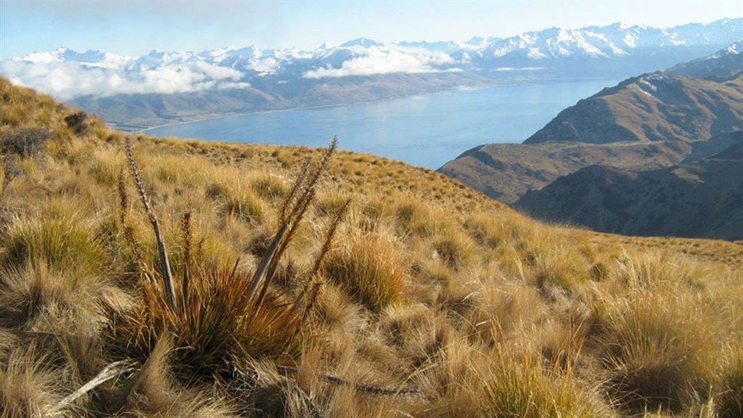 Serious accident on Hāwea track