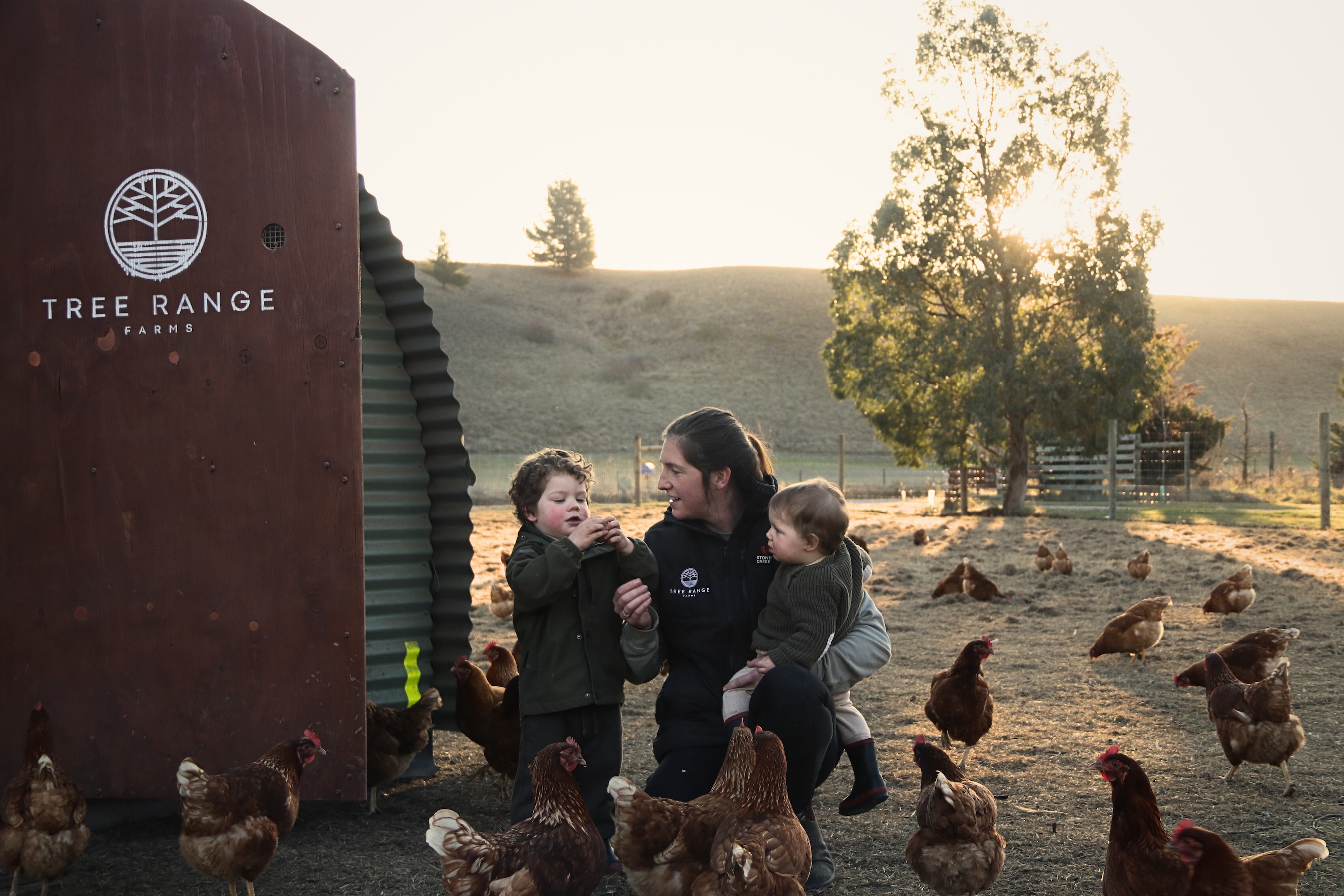 Central Home: Emus, eggs and education
