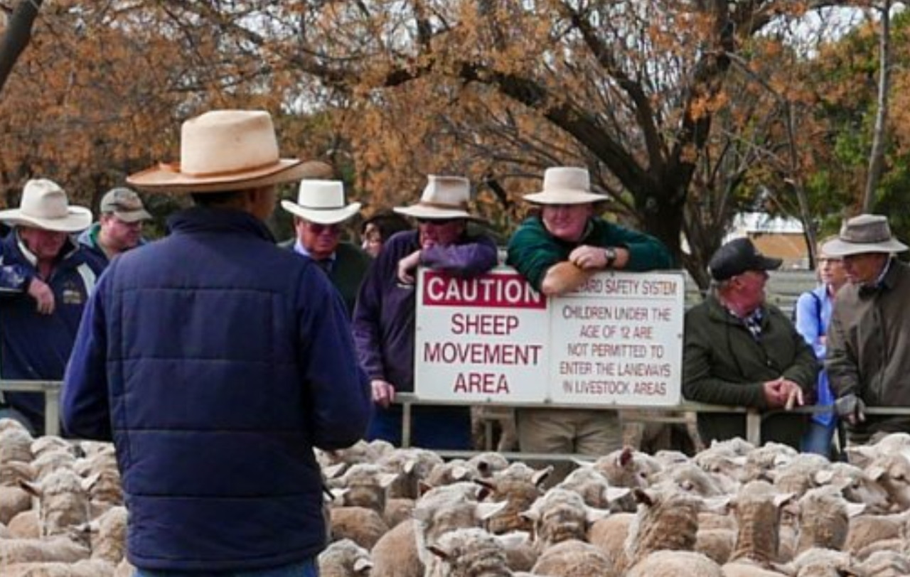 Locals invited to comment on transforming the Narromine Saleyards