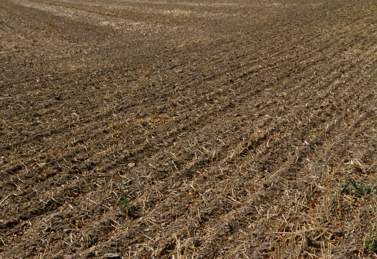 Win for farmers with RIC billion dollar boost