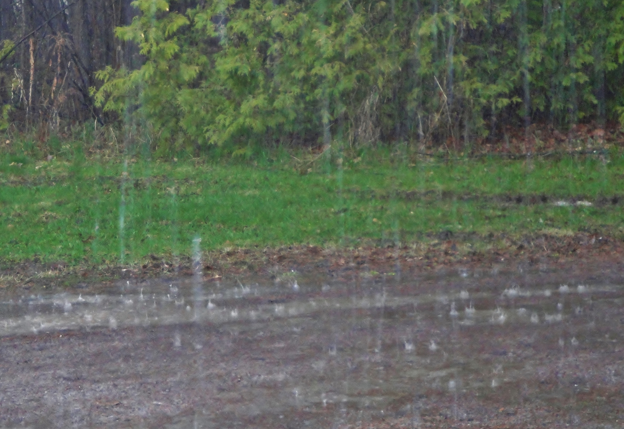 BoM releases its long-term weather forecast for spring: wetter than usual 