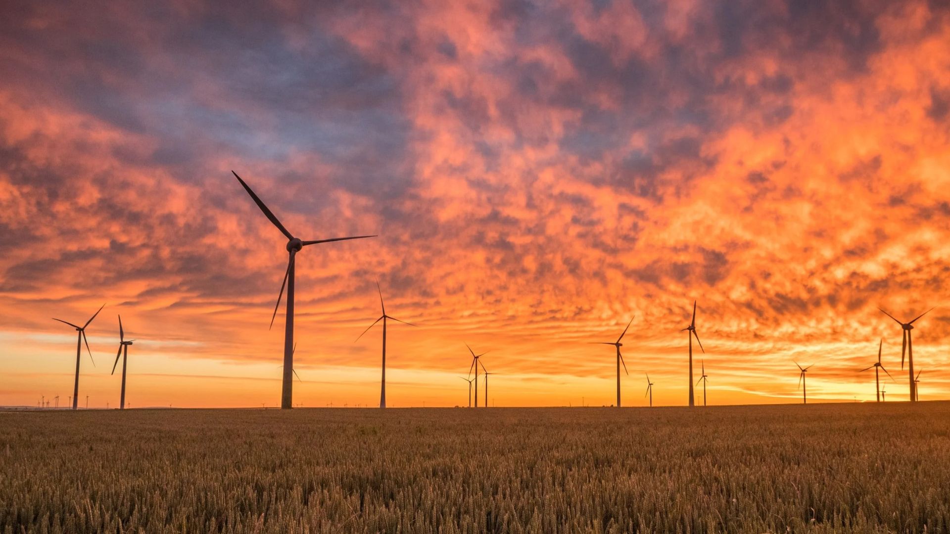 Edward River joins Hay in welcoming windfarm projects