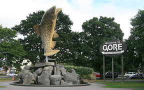 Full list of Gore District candidates