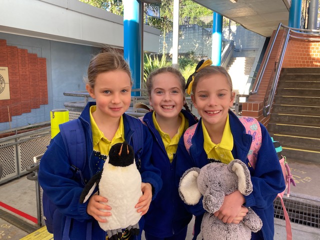 Citizen of the Year shines a light on Kiama Public School
