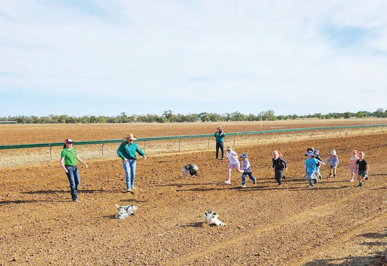 Petition calls for appeal process for cancelled country race days