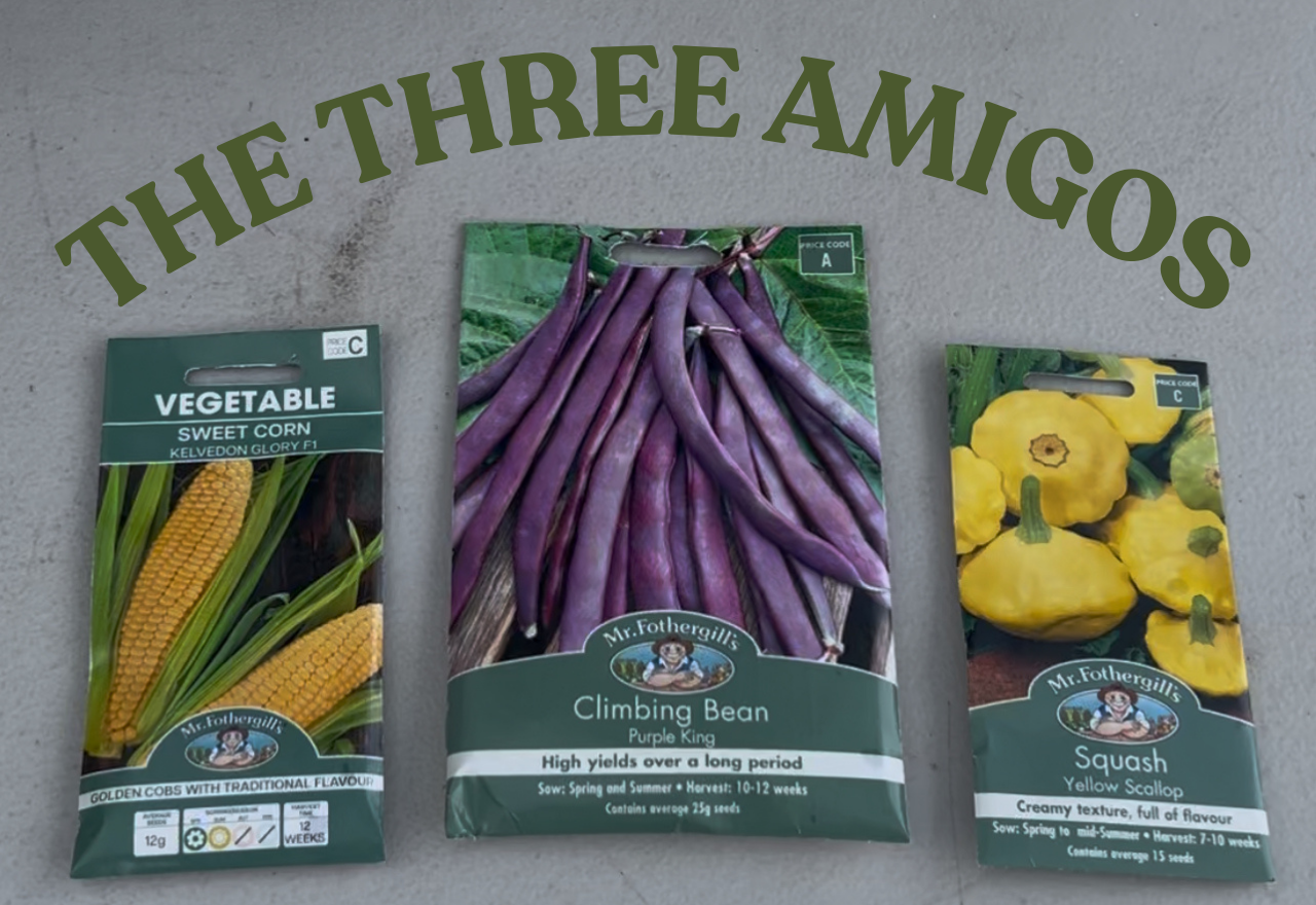 Grow with John Gabriele: Spring sowing