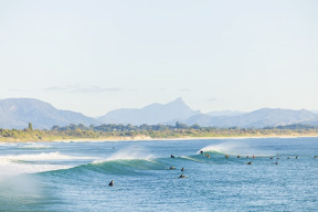 Join the groundswell and keep the Byron Shire clean and beautiful