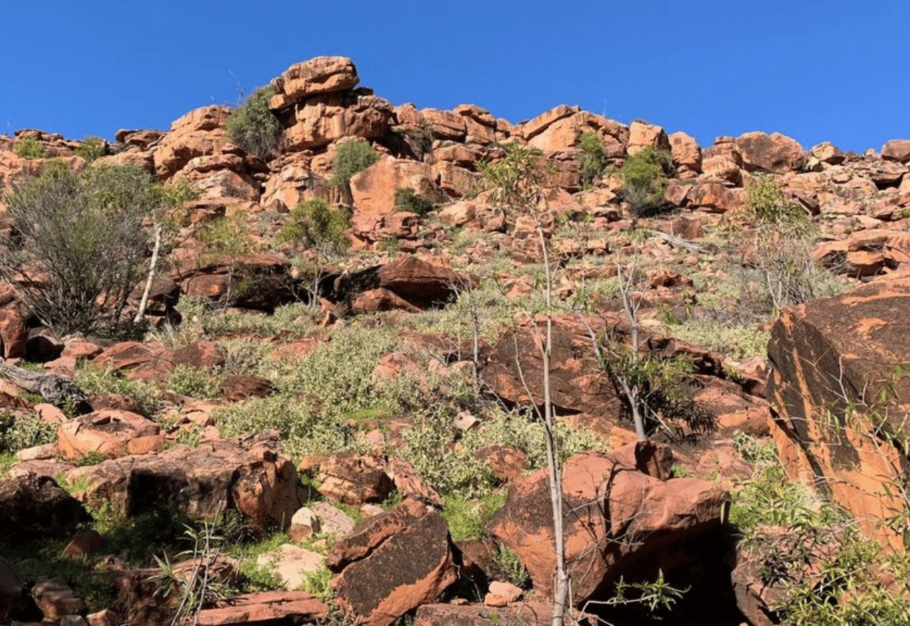 Local councils speak out against National Park purchases