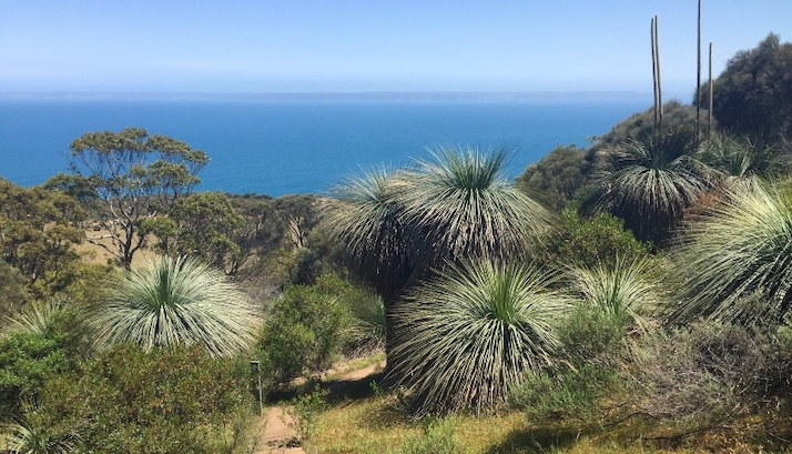 Grants to fund national parks projects