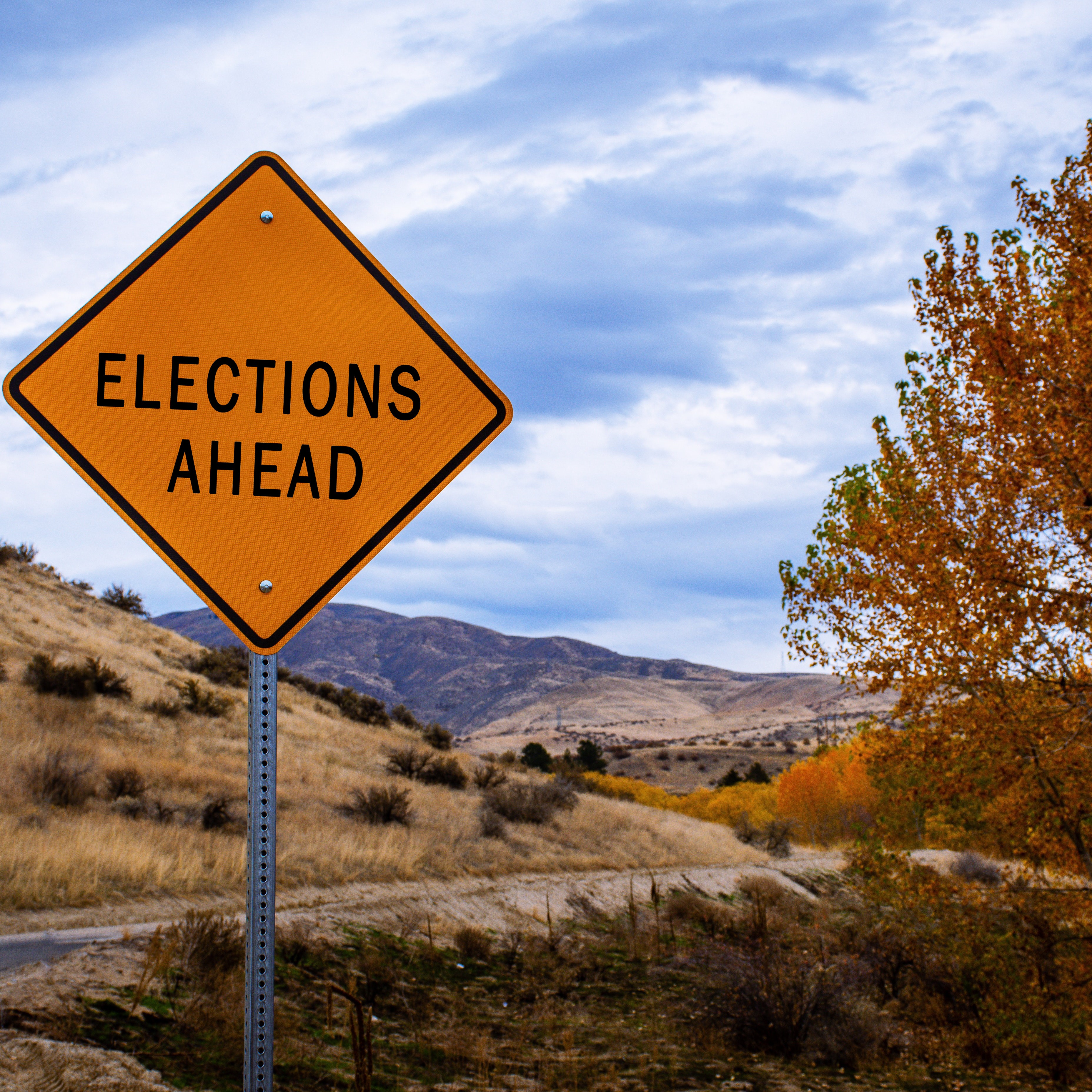 Your Voice, Your Vote: Bugle Poll - 13 Candidates in the Kiama By-Election