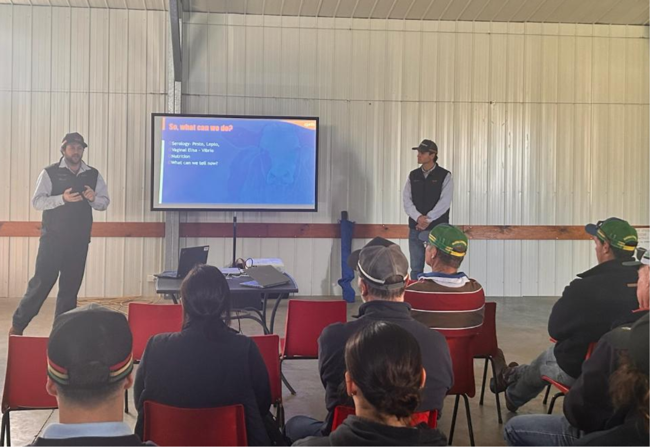 Farmers upbeat following Cattle Information Day