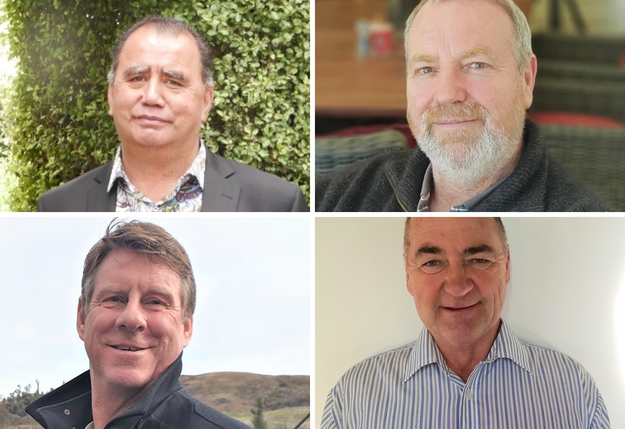 Mayoral candidates identify Wānaka issues
