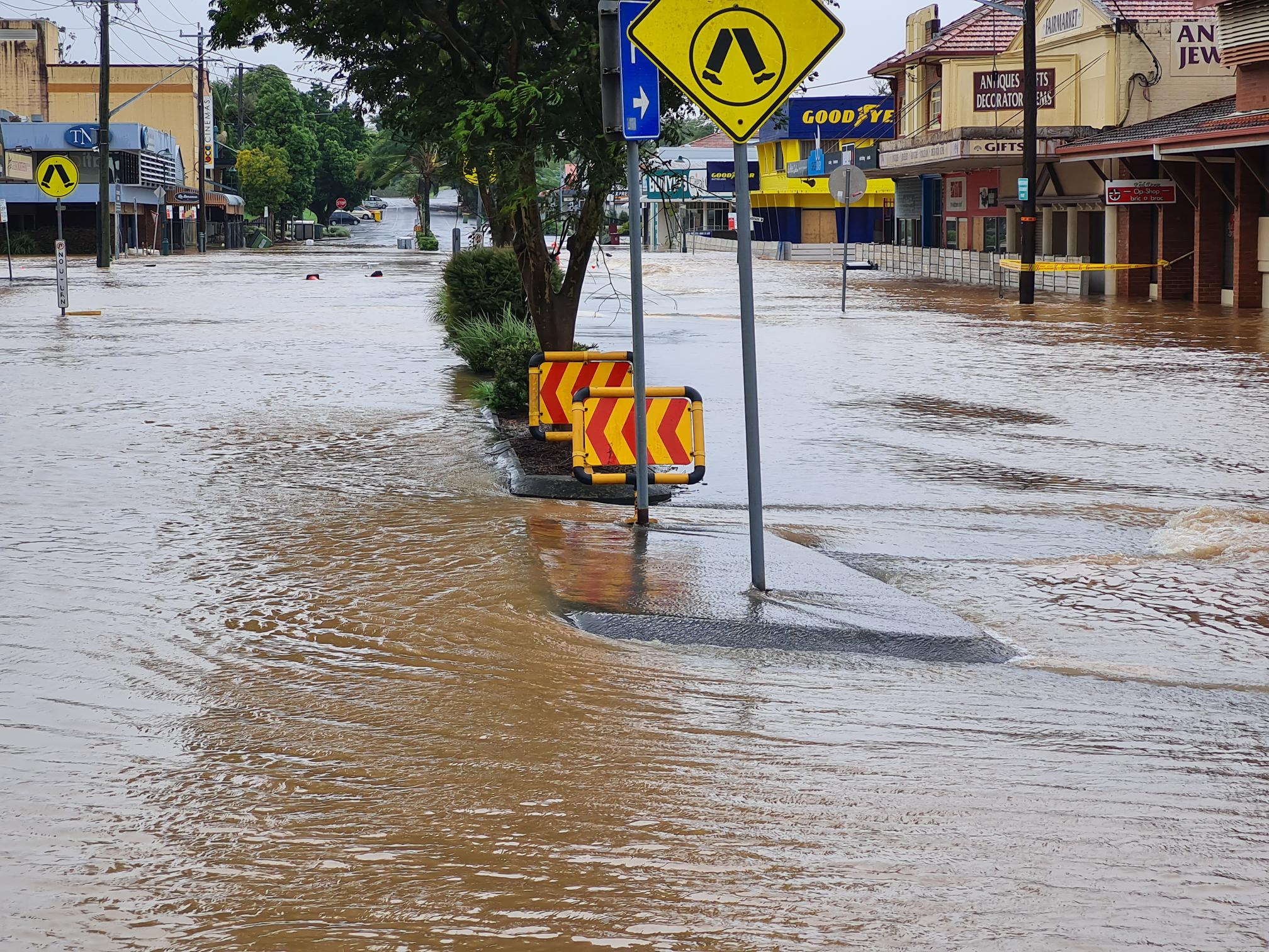 Council confirms its position for CSIRO modelling: retention basins, bypass and new ocean opening