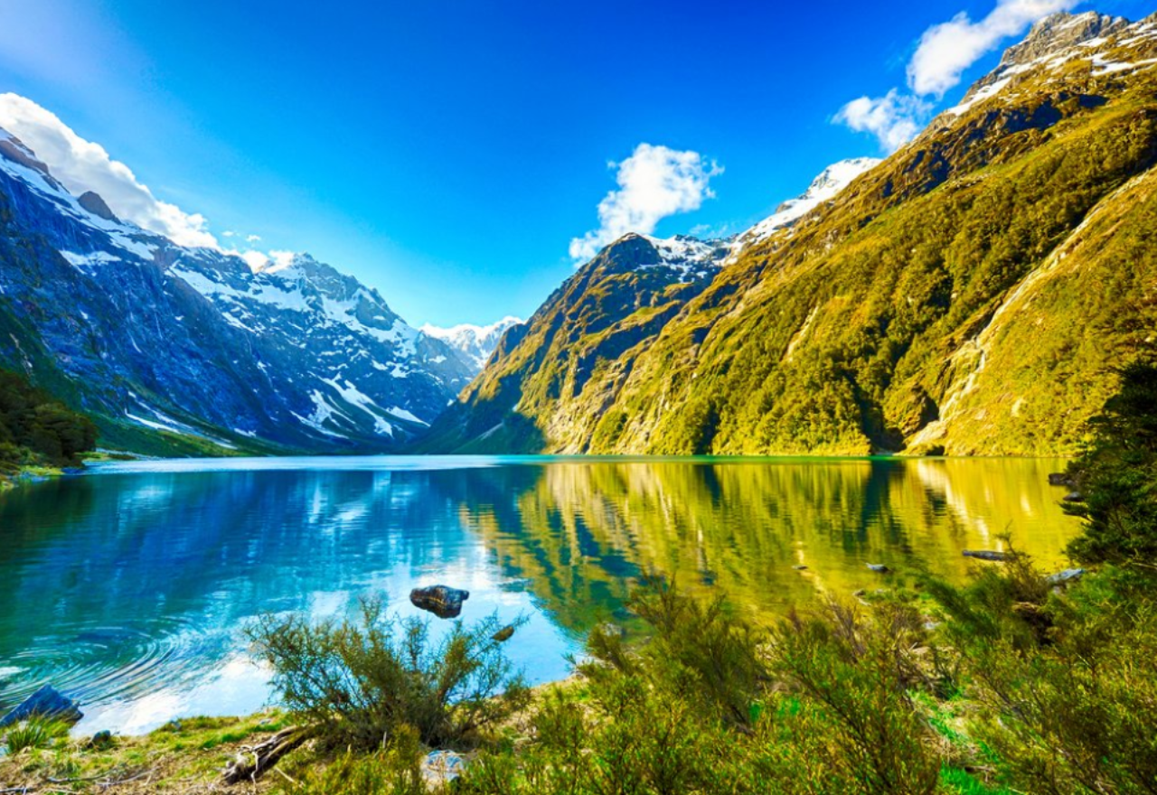 Aussie Families Flock to New Zealand for this Dream Road Trip