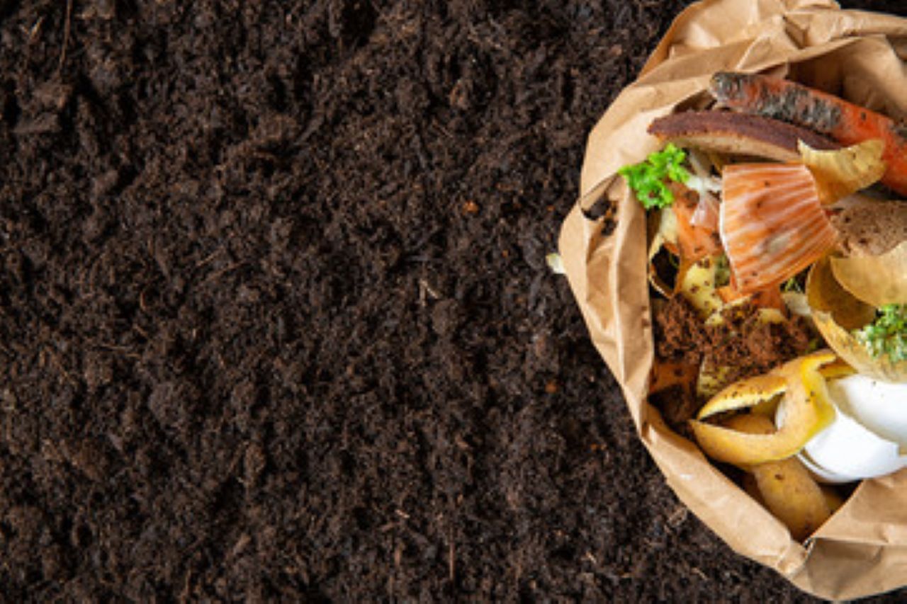 Matakana Coast Composting & Waste Solutions