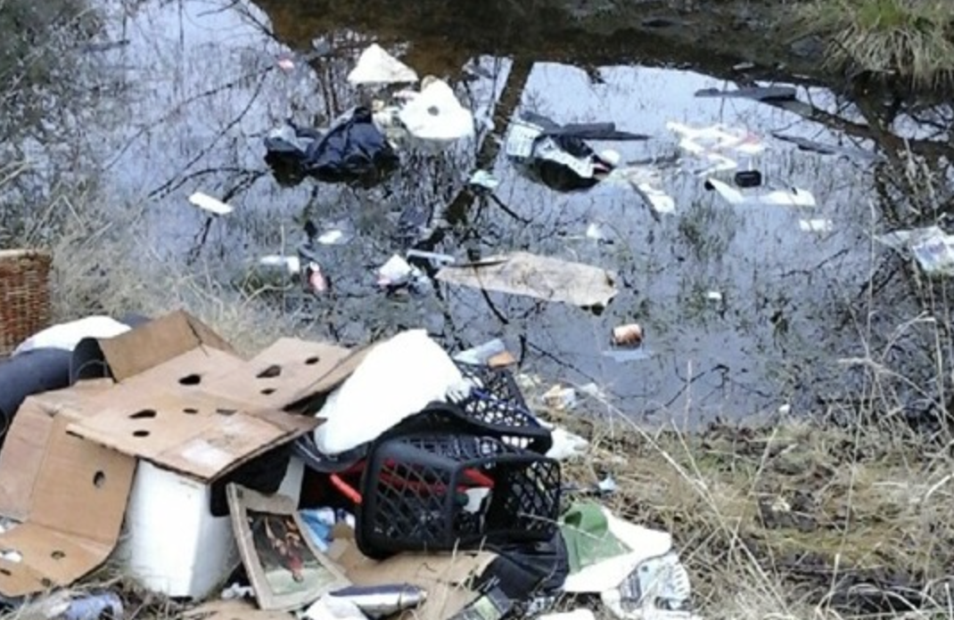 Tougher fines for pollution 
