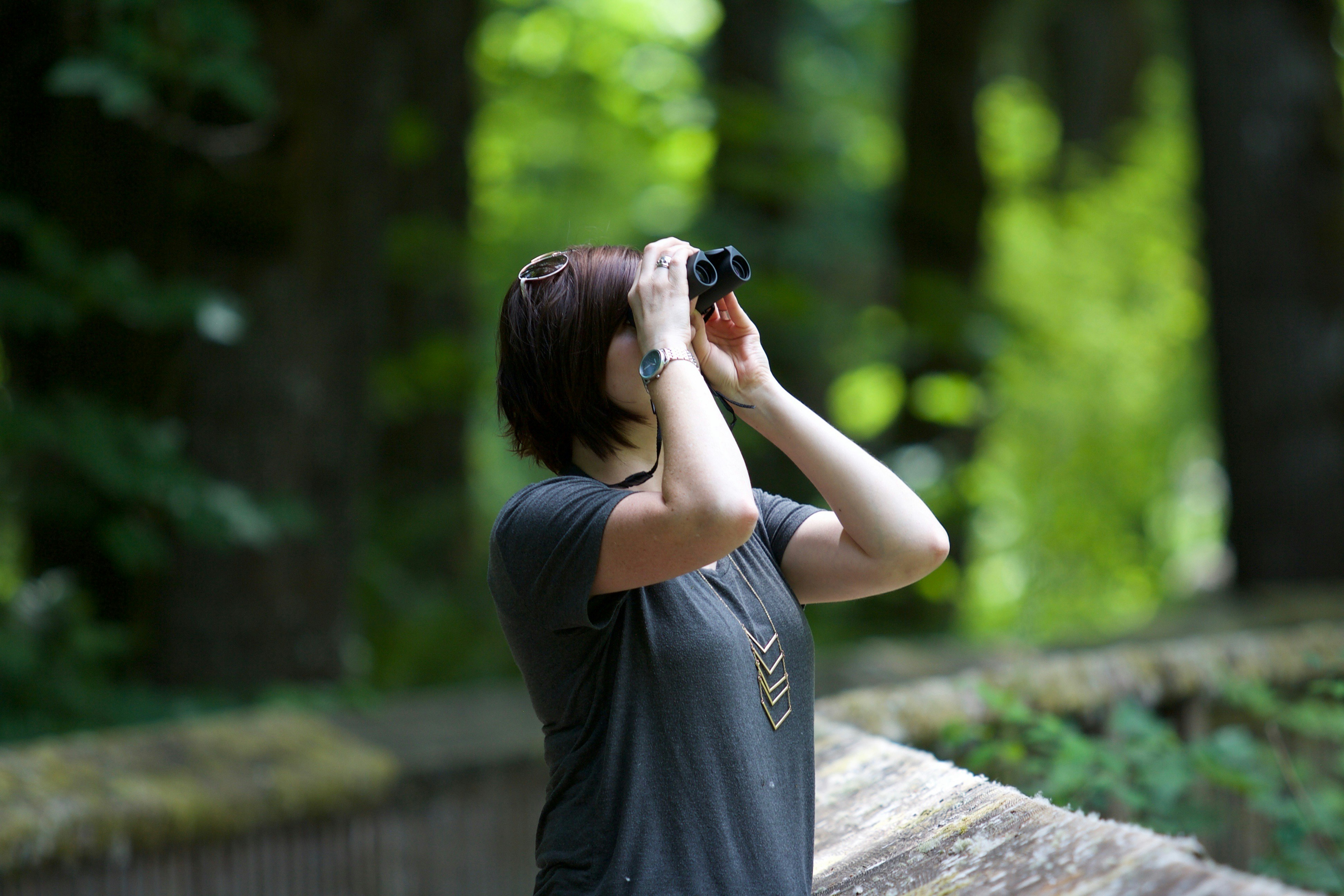 Aussies flock to annual bird count